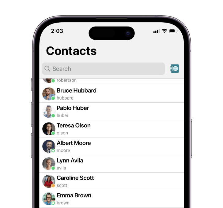 Not just a contact list in the TrueConf app for iOS